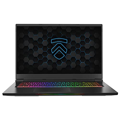 Eluktronics MAX-17 Covert Gamer QHD 165Hz Gaming Laptop PC: Liquid Metal Intel i7-10875H 8-Core NVIDIA GeForce RTX 3070 17.3" Calibrated Display Windows 10 Home 512GB PM991 NVMe SSD & 16GB DDR4 RAM